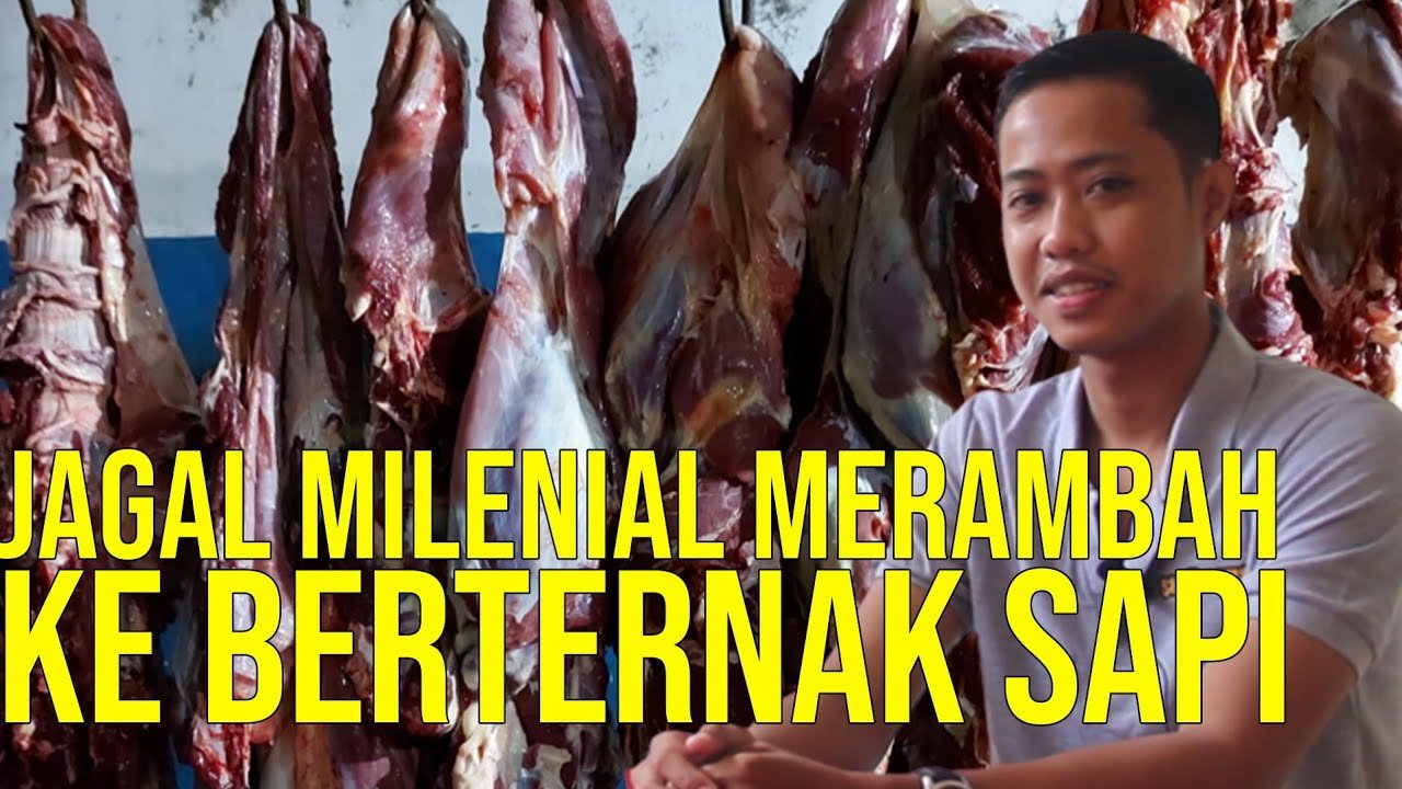 
                                 Jagal-Milenial-Beternak-Sapi
